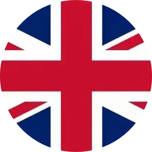 Ӣ������