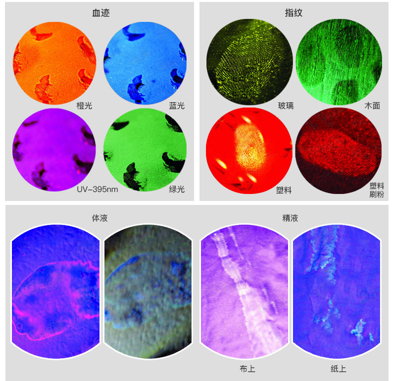 1629362038244784.jpg CI02-V2中文詳情_(kāi)06.jpg